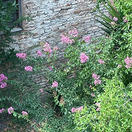 Appartement Romagna *