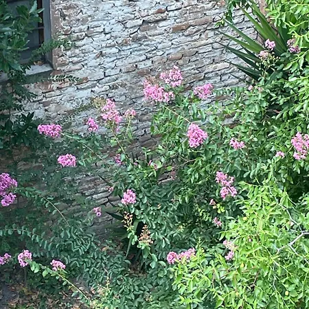 Apartment Romagna *
